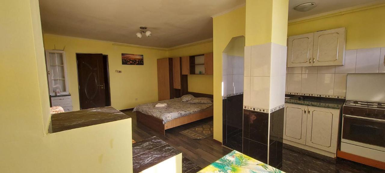 Flora Apartament Apartment Satu Mare Luaran gambar