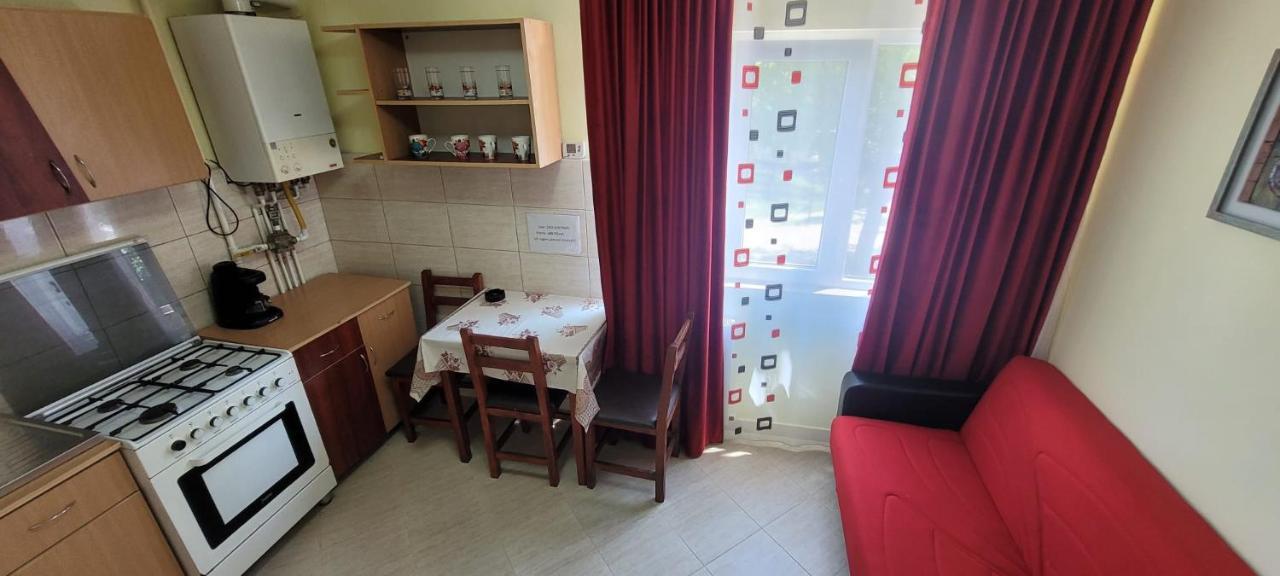 Flora Apartament Apartment Satu Mare Luaran gambar