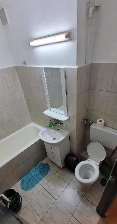 Flora Apartament Apartment Satu Mare Luaran gambar