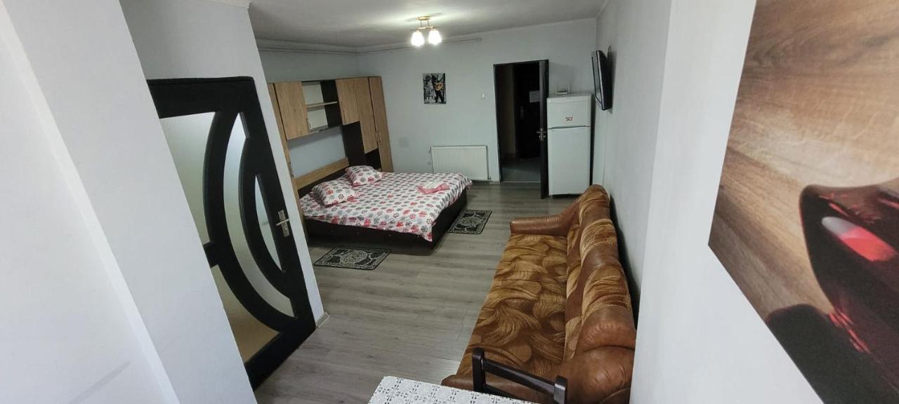 Flora Apartament Apartment Satu Mare Luaran gambar